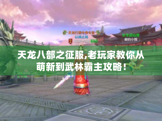 天龙八部之征服,老玩家教你从萌新到武林霸主攻略! 天龙八部之征服,老玩家教你从萌新到武林霸主攻略!