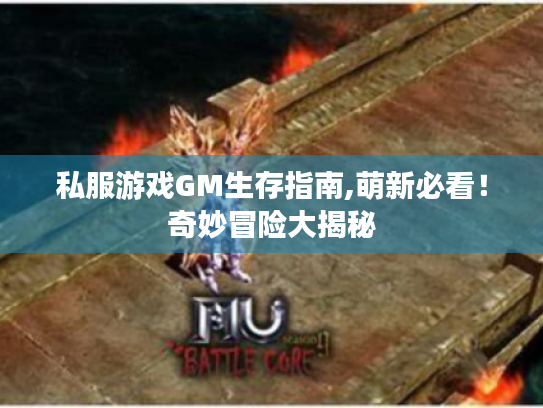 私服游戏GM生存指南,萌新必看!奇妙冒险大揭秘 私服游戏GM生存指南,萌新必看!奇妙冒险大揭秘