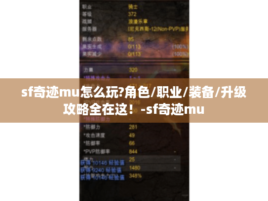 sf奇迹mu怎么玩?角色/职业/装备/升级攻略全在这!-sf奇迹mu sf奇迹mu怎么玩?角色/职业/装备/升级攻略全在这!-sf奇迹mu