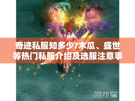 奇迹私服知多少?木瓜、盛世等热门私服介绍及选服注意事项- 奇迹私服知多少?木瓜、盛世等热门私服介绍及选服注意事项-