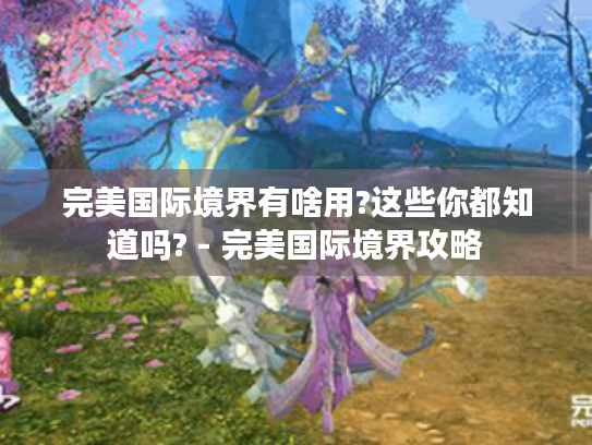 完美国际境界有啥用?这些你都知道吗? - 完美国际境界攻略 完美国际境界有啥用?这些你都知道吗? - 完美国际境界攻略