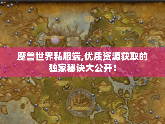 魔兽世界私服端,优质资源获取的独家秘诀大公开！