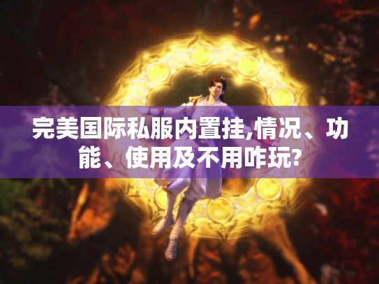 完美国际私服内置挂,情况、功能、使用及不用咋玩? 完美国际私服内置挂,情况、功能、使用及不用咋玩?