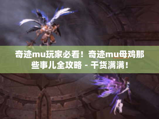 奇迹mu玩家必看!奇迹mu母鸡那些事儿全攻略 - 干货满满! 奇迹mu玩家必看!奇迹mu母鸡那些事儿全攻略 - 干货满满!