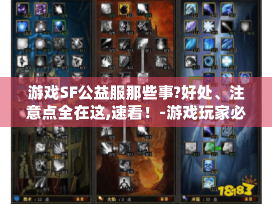 游戏SF公益服那些事?好处、注意点全在这,速看!-游戏玩家必知 游戏SF公益服那些事?好处、注意点全在这,速看!-游戏玩家必知