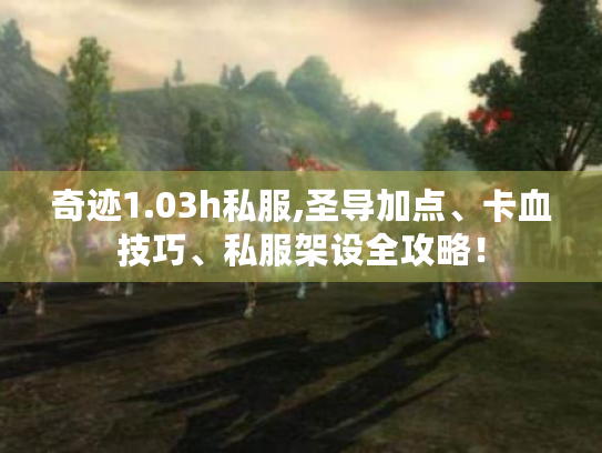奇迹1.03h私服,圣导加点、卡血技巧、私服架设全攻略! 奇迹1.03h私服,圣导加点、卡血技巧、私服架设全攻略!