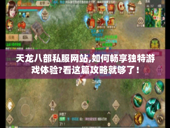 天龙八部私服网站,如何畅享独特游戏体验?看这篇攻略就够了！