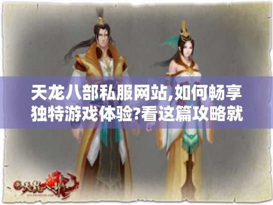 天龙八部私服网站,如何畅享独特游戏体验?看这篇攻略就够了！