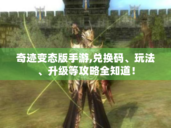 奇迹变态版手游,兑换码、玩法、升级等攻略全知道! 奇迹变态版手游,兑换码、玩法、升级等攻略全知道!