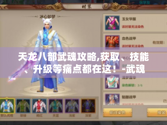 天龙八部武魂攻略,获取、技能、升级等痛点都在这！-武魂