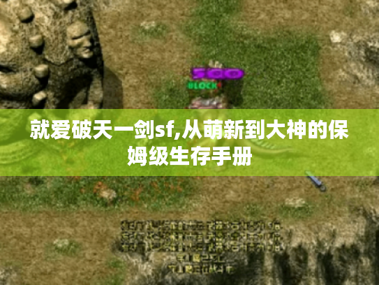 就爱破天一剑sf,从萌新到大神的保姆级生存手册 就爱破天一剑sf,从萌新到大神的保姆级生存手册