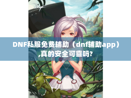 DNF私服免费辅助（dnf辅助app）,真的安全可靠吗?