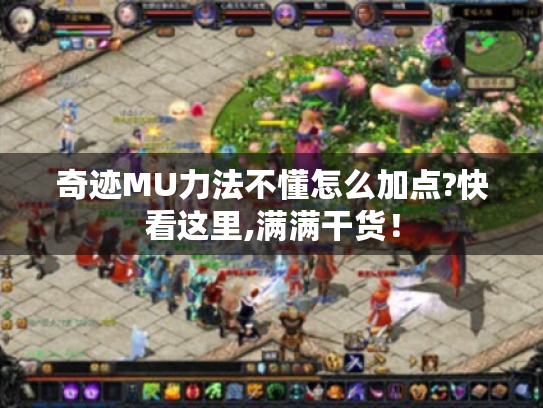 奇迹MU力法不懂怎么加点?快看这里,满满干货！