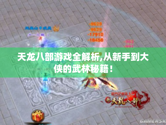 天龙八部游戏全解析,从新手到大侠的武林秘籍！