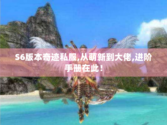 S6版本奇迹私服,从萌新到大佬,进阶手册在此！