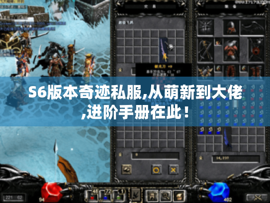 S6版本奇迹私服,从萌新到大佬,进阶手册在此！