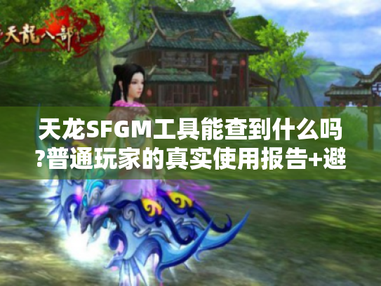 天龙SFGM工具能查到什么吗?普通玩家的真实使用报告+避坑指南