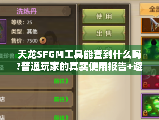 天龙SFGM工具能查到什么吗?普通玩家的真实使用报告+避坑指南