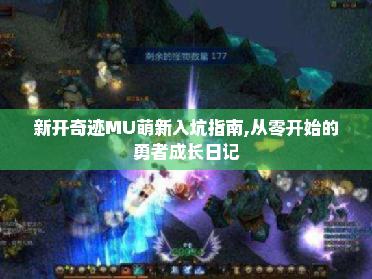 新开奇迹MU萌新入坑指南,从零开始的勇者成长日记 新开奇迹MU萌新入坑指南,从零开始的勇者成长日记