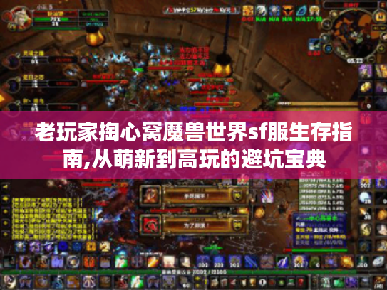 老玩家掏心窝魔兽世界sf服生存指南,从萌新到高玩的避坑宝典 老玩家掏心窝魔兽世界sf服生存指南,从萌新到高玩的避坑宝典