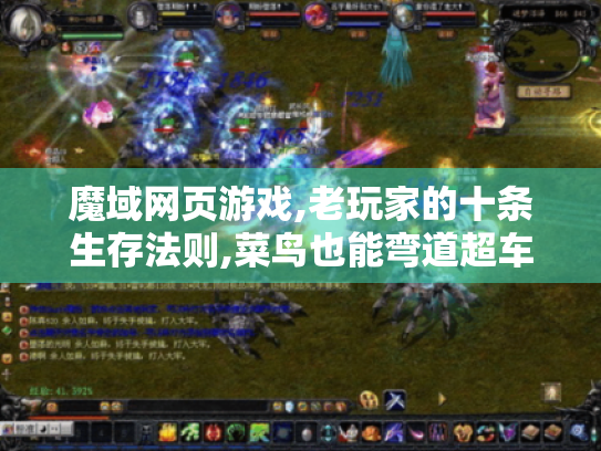 魔域网页游戏,老玩家的十条生存法则,菜鸟也能弯道超车