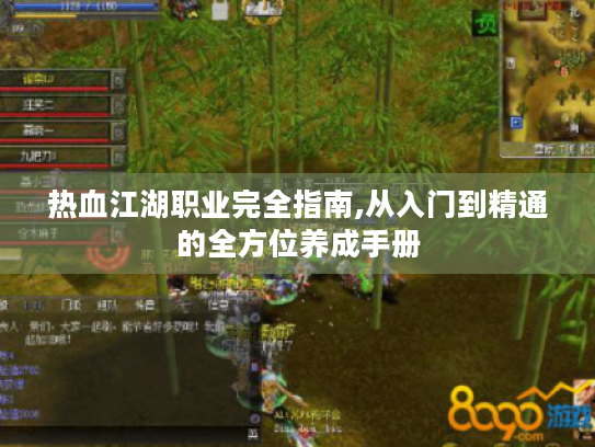 热血江湖职业完全指南,从入门到精通的全方位养成手册 热血江湖职业完全指南,从入门到精通的全方位养成手册