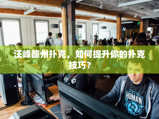 汪峰德州扑克,如何提升你的扑克技巧? 汪峰德州扑克,如何提升你的扑克技巧?