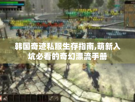 韩国奇迹私服生存指南,萌新入坑必看的奇幻漂流手册 韩国奇迹私服生存指南,萌新入坑必看的奇幻漂流手册
