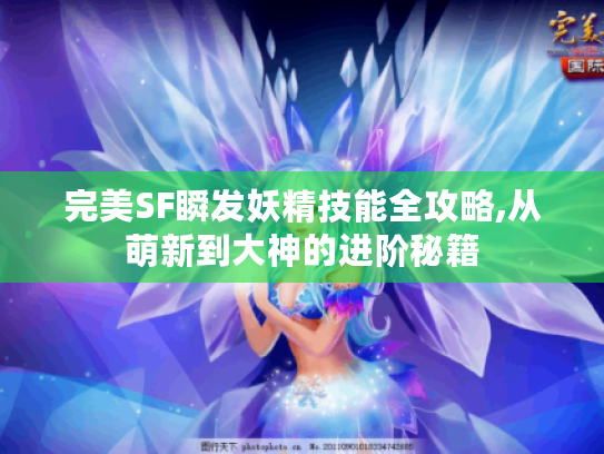 完美SF瞬发妖精技能全攻略,从萌新到大神的进阶秘籍