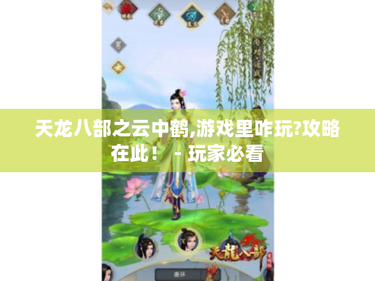 天龙八部之云中鹤,游戏里咋玩?攻略在此！ - 玩家必看