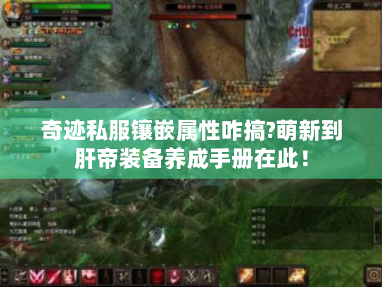 奇迹私服镶嵌属性咋搞?萌新到肝帝装备养成手册在此！