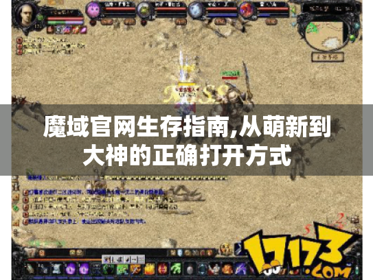 魔域官网生存指南,从萌新到大神的正确打开方式 魔域官网生存指南,从萌新到大神的正确打开方式