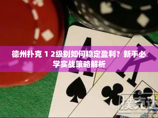 德州扑克 1 2级别如何稳定盈利?新手必学实战策略解析 德州扑克 1 2级别如何稳定盈利?新手必学实战策略解析
