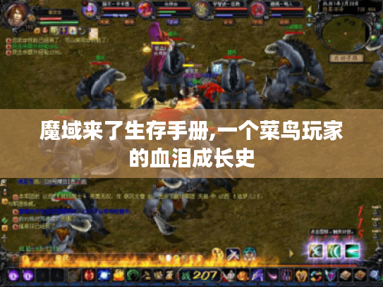 魔域来了生存手册,一个菜鸟玩家的血泪成长史 魔域来了生存手册,一个菜鸟玩家的血泪成长史