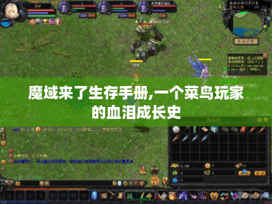 魔域来了生存手册,一个菜鸟玩家的血泪成长史 魔域来了生存手册,一个菜鸟玩家的血泪成长史