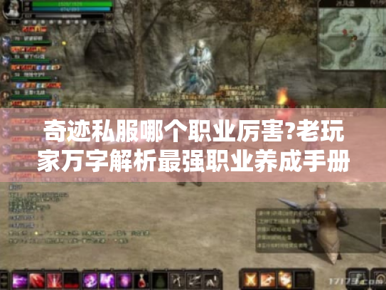 奇迹私服哪个职业厉害?老玩家万字解析最强职业养成手册 奇迹私服哪个职业厉害?老玩家万字解析最强职业养成手册