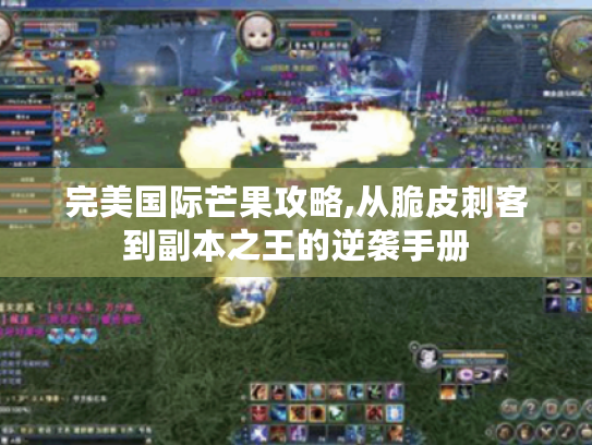 完美国际芒果攻略,从脆皮刺客到副本之王的逆袭手册 完美国际芒果攻略,从脆皮刺客到副本之王的逆袭手册