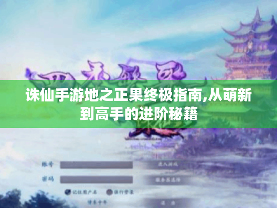 诛仙手游地之正果终极指南,从萌新到高手的进阶秘籍 诛仙手游地之正果终极指南,从萌新到高手的进阶秘籍