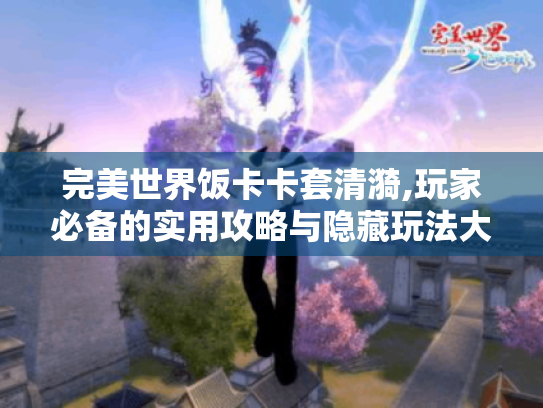 完美世界饭卡卡套清漪,玩家必备的实用攻略与隐藏玩法大揭秘