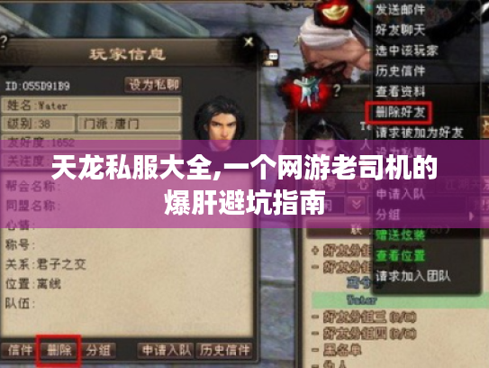 天龙私服大全,一个网游老司机的爆肝避坑指南 天龙私服大全,一个网游老司机的爆肝避坑指南