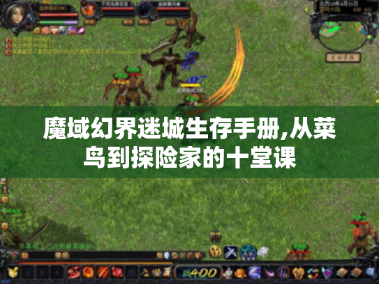 魔域幻界迷城生存手册,从菜鸟到探险家的十堂课 魔域幻界迷城生存手册,从菜鸟到探险家的十堂课