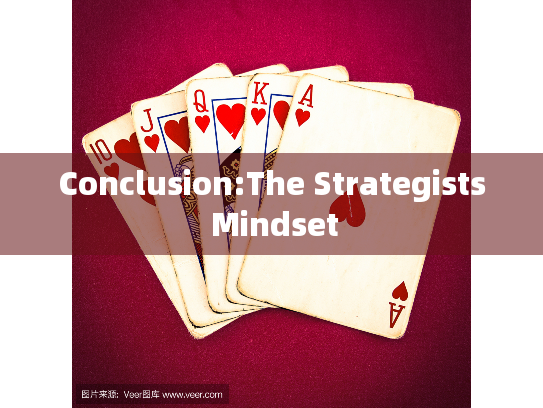 Conclusion:The Strategists Mindset Conclusion:The Strategists Mindset