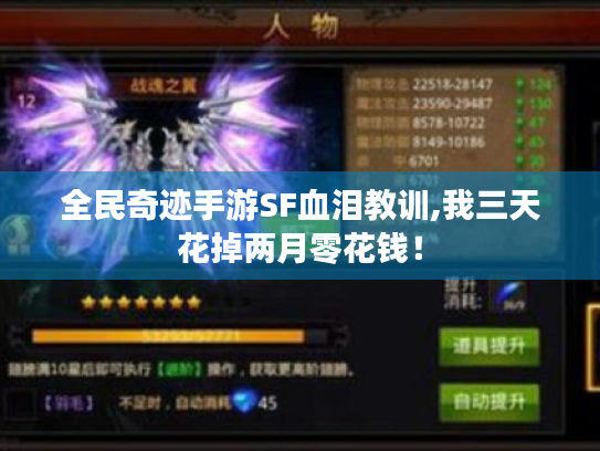 全民奇迹手游SF血泪教训,我三天花掉两月零花钱! 全民奇迹手游SF血泪教训,我三天花掉两月零花钱!