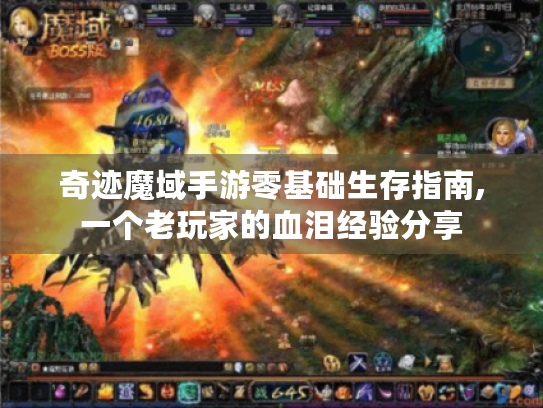 奇迹魔域手游零基础生存指南,一个老玩家的血泪经验分享 奇迹魔域手游零基础生存指南,一个老玩家的血泪经验分享
