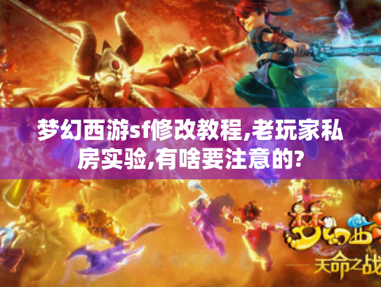 梦幻西游sf修改教程,老玩家私房实验,有啥要注意的? 梦幻西游sf修改教程,老玩家私房实验,有啥要注意的?