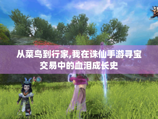 从菜鸟到行家,我在诛仙手游寻宝交易中的血泪成长史 从菜鸟到行家,我在诛仙手游寻宝交易中的血泪成长史