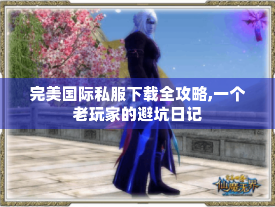 完美国际私服下载全攻略,一个老玩家的避坑日记 完美国际私服下载全攻略,一个老玩家的避坑日记