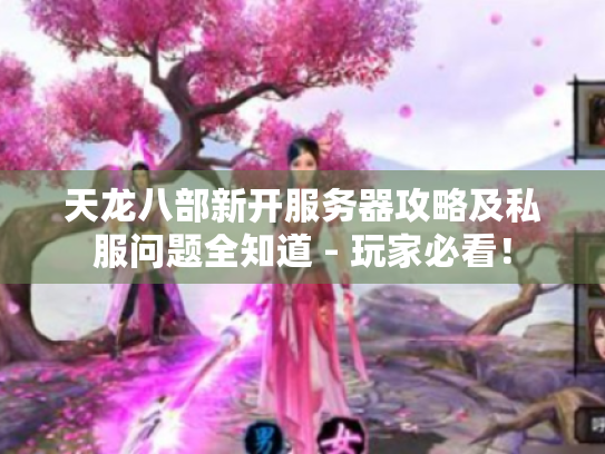 天龙八部新开服务器攻略及私服问题全知道 - 玩家必看！