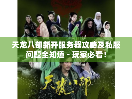 天龙八部新开服务器攻略及私服问题全知道 - 玩家必看！
