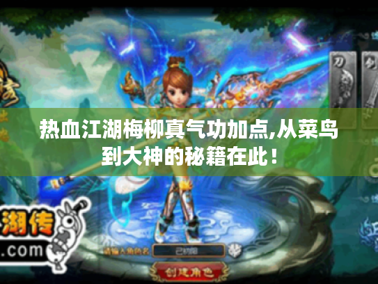 热血江湖梅柳真气功加点,从菜鸟到大神的秘籍在此！